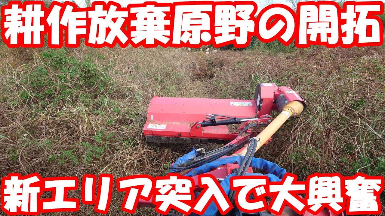 未開の原野左奥エリア。開拓を阻むゴツイつる草に奮闘。