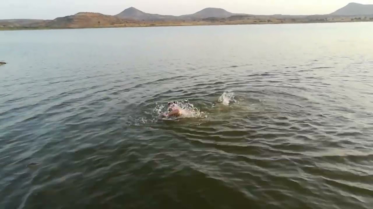Dhule pond 