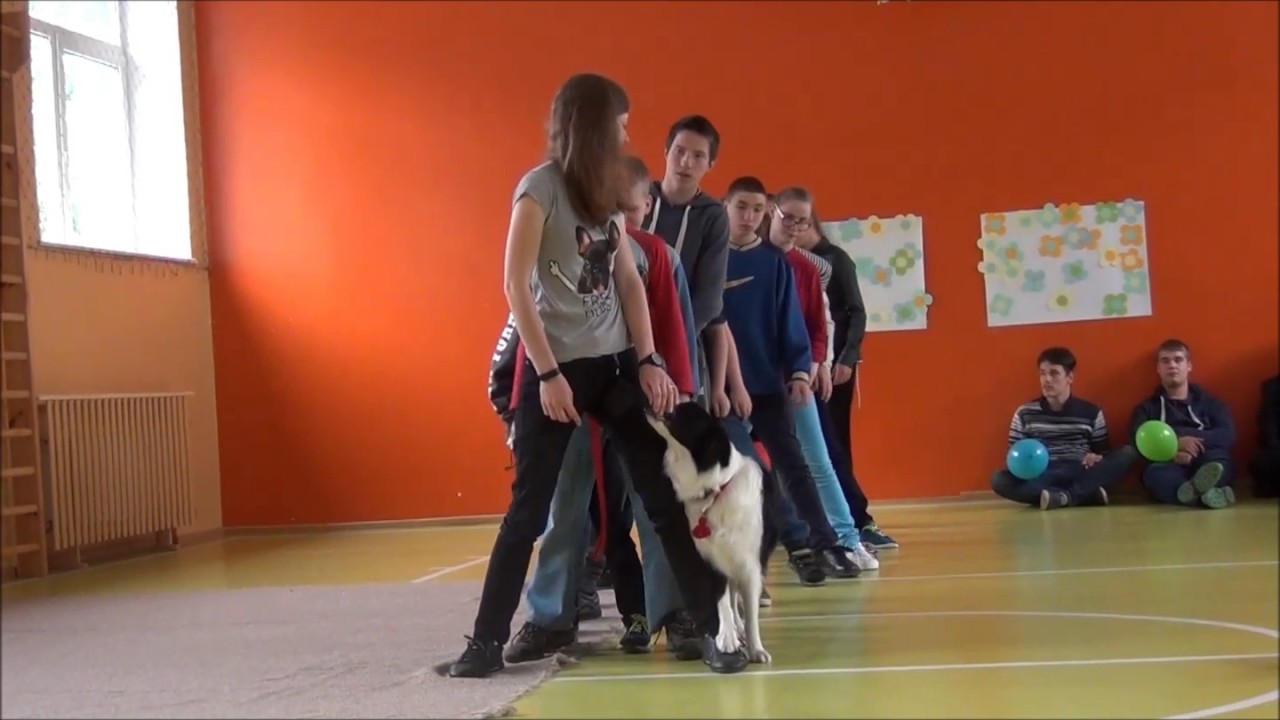 Vaikų gynimo diena Kauno Jono Laužiko specialiojoje mokykloje