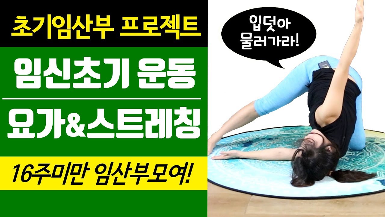 [초기임산부 요가] 12-35주 임산부 운동&스트레칭 이걸로 끝낸다!