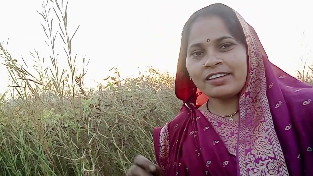🤩सरसों कटते समय सरसों वाला गाना आप लोगएक बार सुनें #Nach geet#viral geet#krishnaartimaurya 