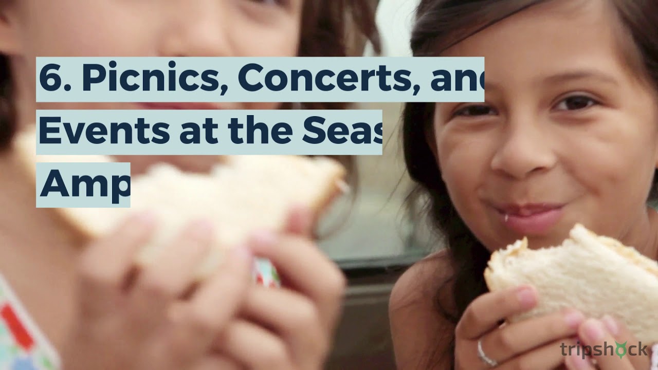 6 Amazing Seaside, Florida Family Vacation Ideas