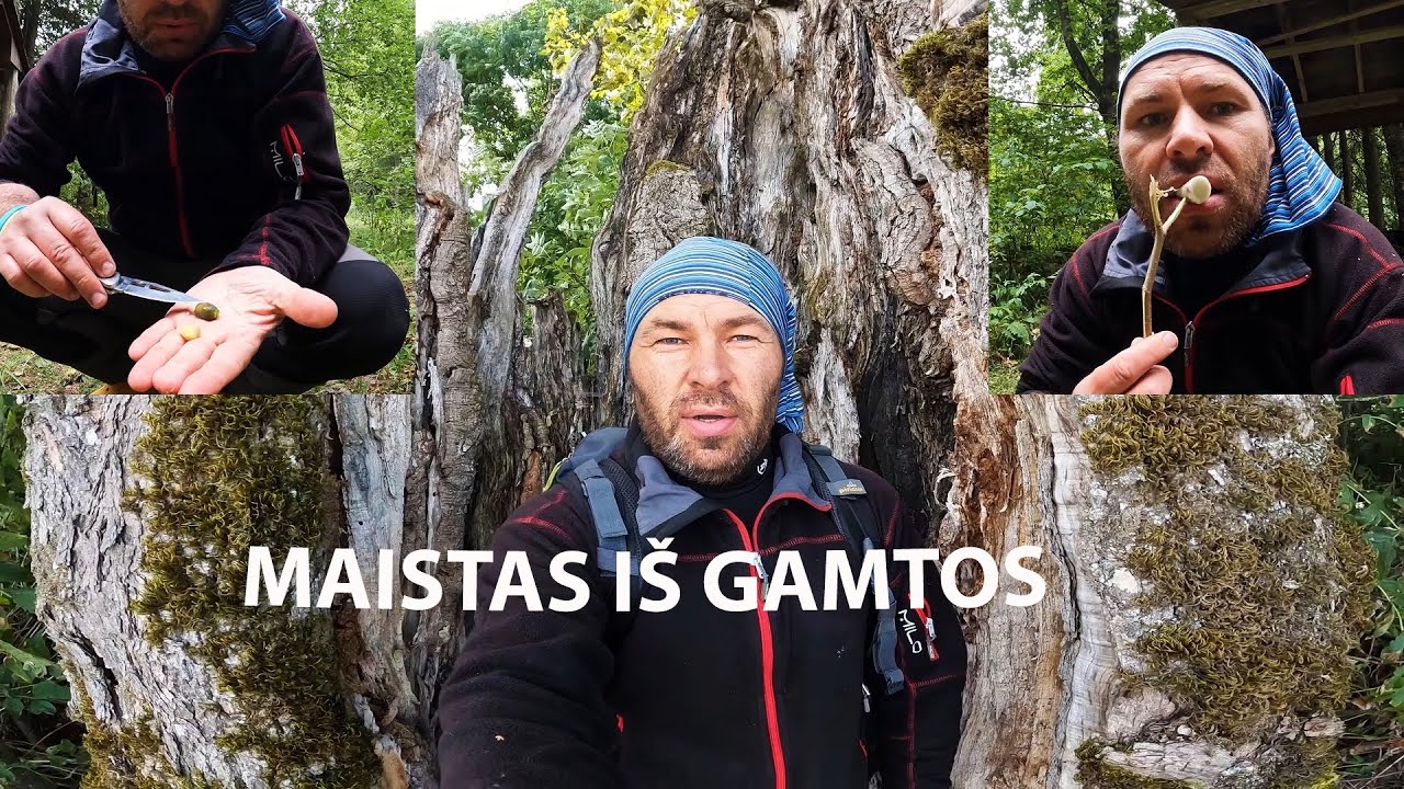 Žygis valgant švendrus ir vandenines 