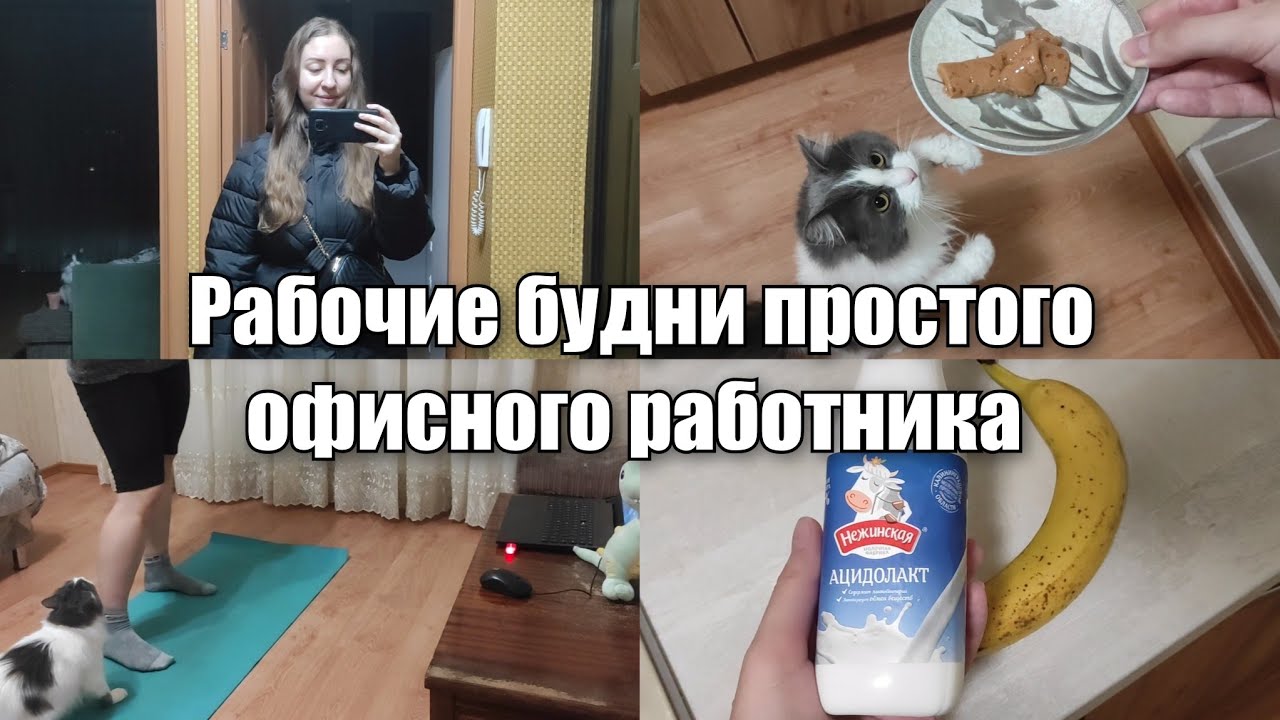 vlog: 3 дня из жизни офисного работника | Бусе 3 года 🎉 | 05-07.02.2025