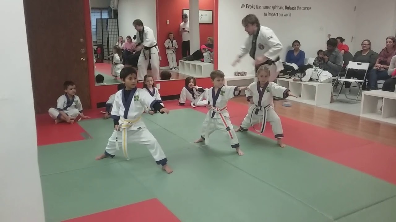 Kids karate classes in north york