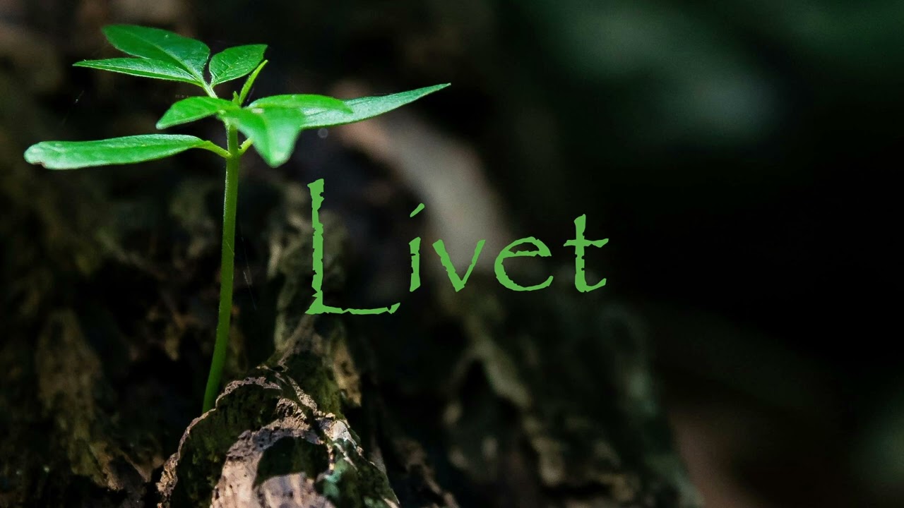 Livet - YS1 x Nossan Type Beat (Norsk HipHop/Rap Type Beat)