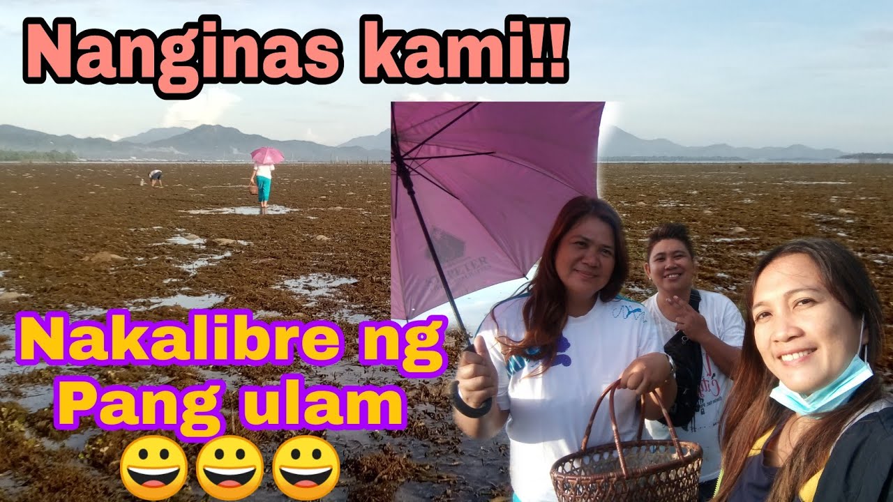 Paano manginas/Nanginas nakalibre ng Pang Ulam (part 1)