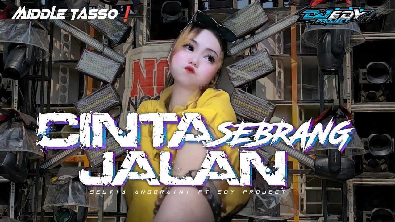 DJ TJAP TASSO KUPANDANG PANDANG ADEK DARI SEBERANG || FT SELVIA ANGGRAINI❗