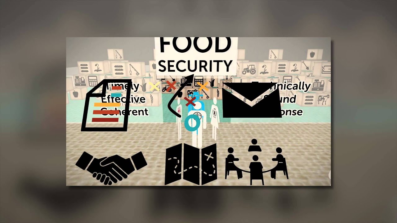 Food security Cluster: Strengthening Humanitarian Response WFP EN