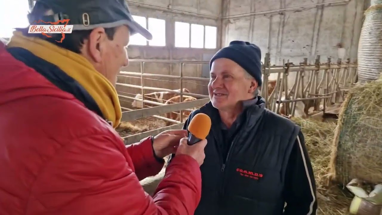 Entriamo nell'azienda agricola Trovato, un duro mestiere ma che facciamo con amore