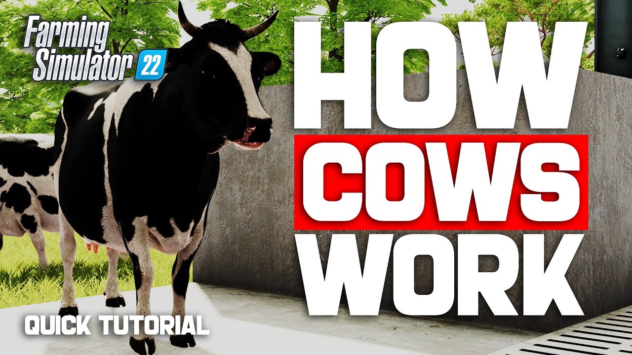 How COWS Work In Farming Simulator 22 (QUICK TUTORIAL)