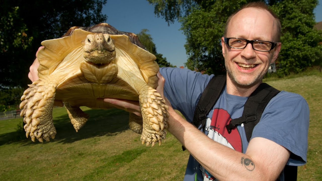Man Walks Tortoise for Hours Everyday