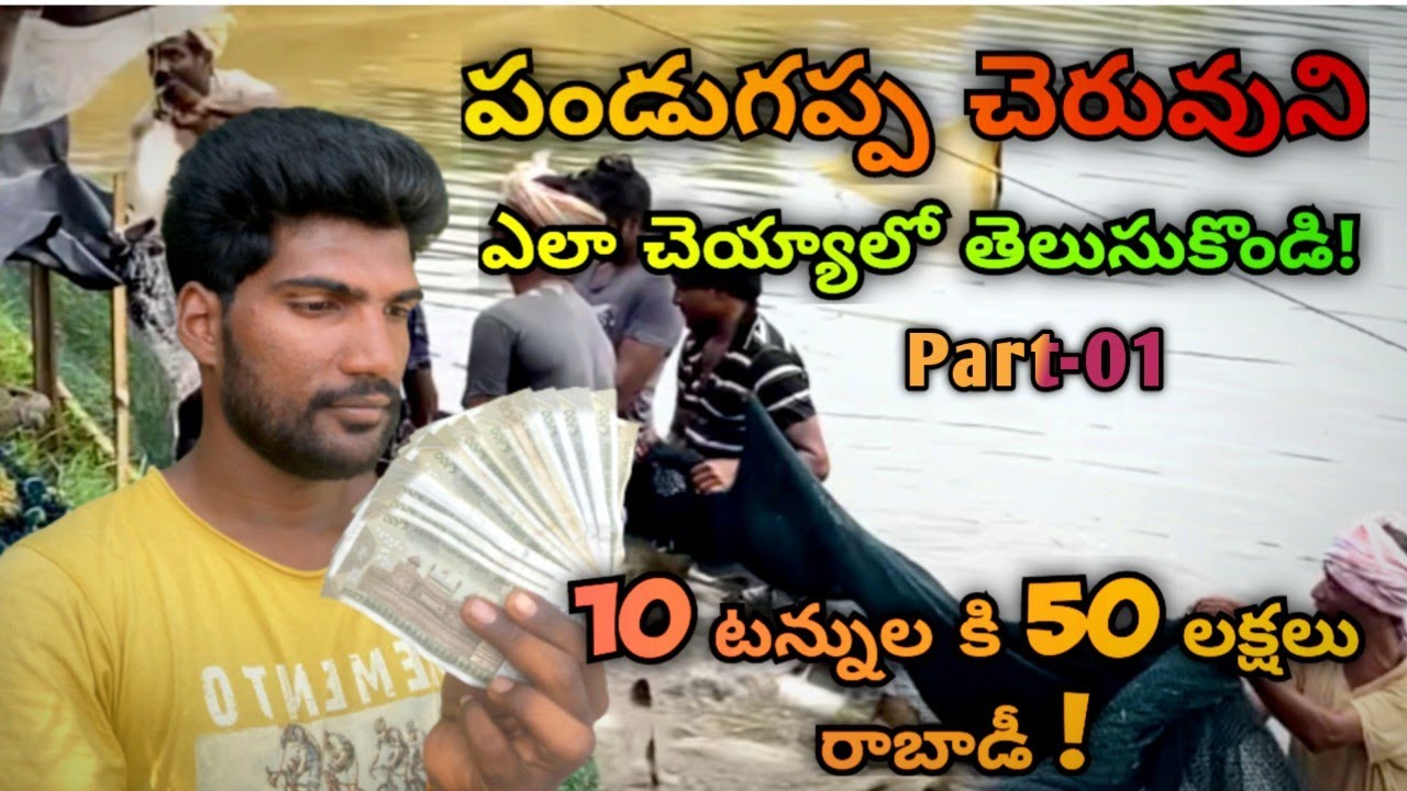 పండుగప్ప చెరువుని ఎలా చెయ్యాలో తెలుసుకొండి! PART-01#like #share #support #subscribe #trending