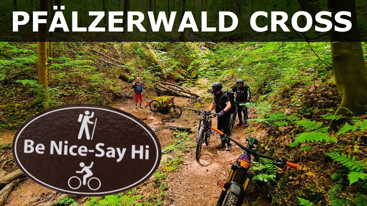 eMTB Urlaub in in der Pfalz - 91% Singletrail Runde