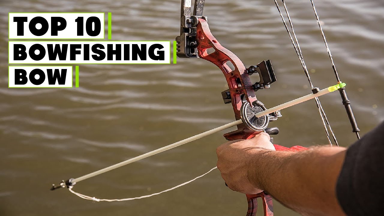 Best Bowfishing Bows in 2025 (Top 6 Picks)