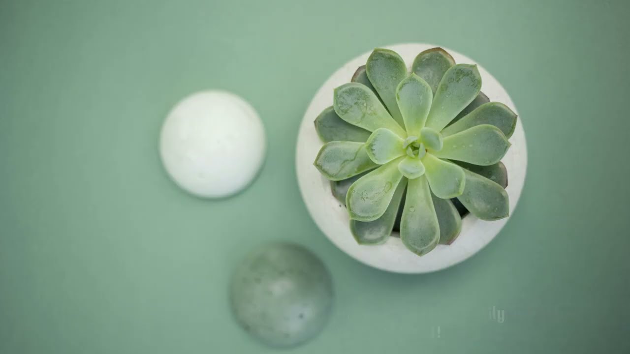 FALL INTO SLEEP INSTANTLY - Relaxing Sleep Music + Insomnia. Piano Sounds for Stress Relief, Anxiety