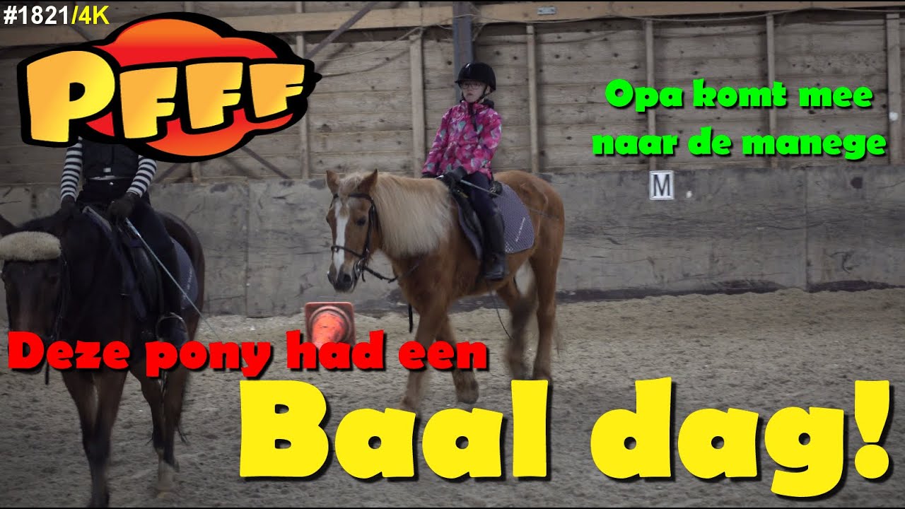 Deze PONY had een BAALDAG. Net nu OPA kwam kijken op MANEGE de VOORWEG #1821