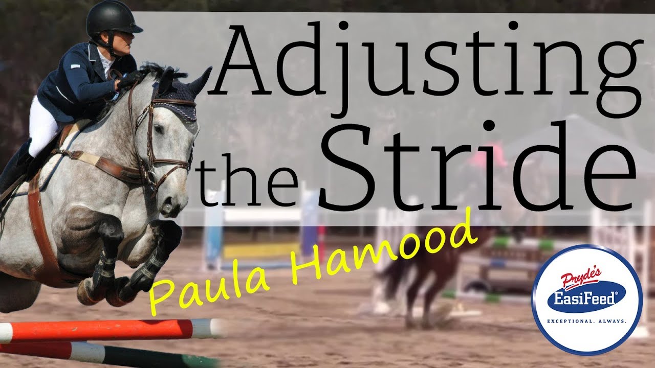 How to adjust the Stride in Show Jumping with Paula Hamood