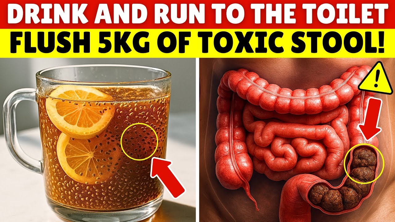 5 KG of STOOL Out in 1 Hour! No More Constipation, No Fatigue! Flat Belly! | Senior Health Tips