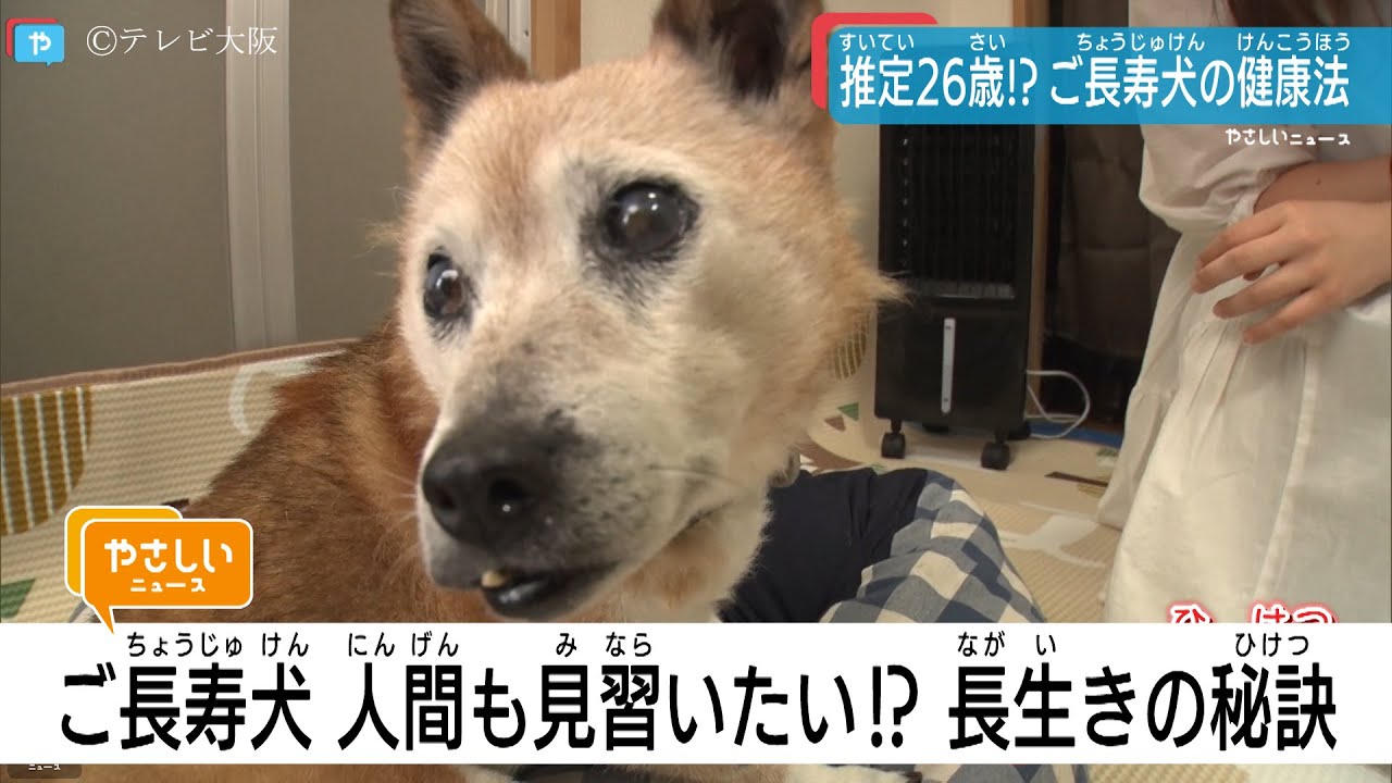 推定26歳！SNSで大人気「ベビー」ちゃん　長寿の秘訣は？