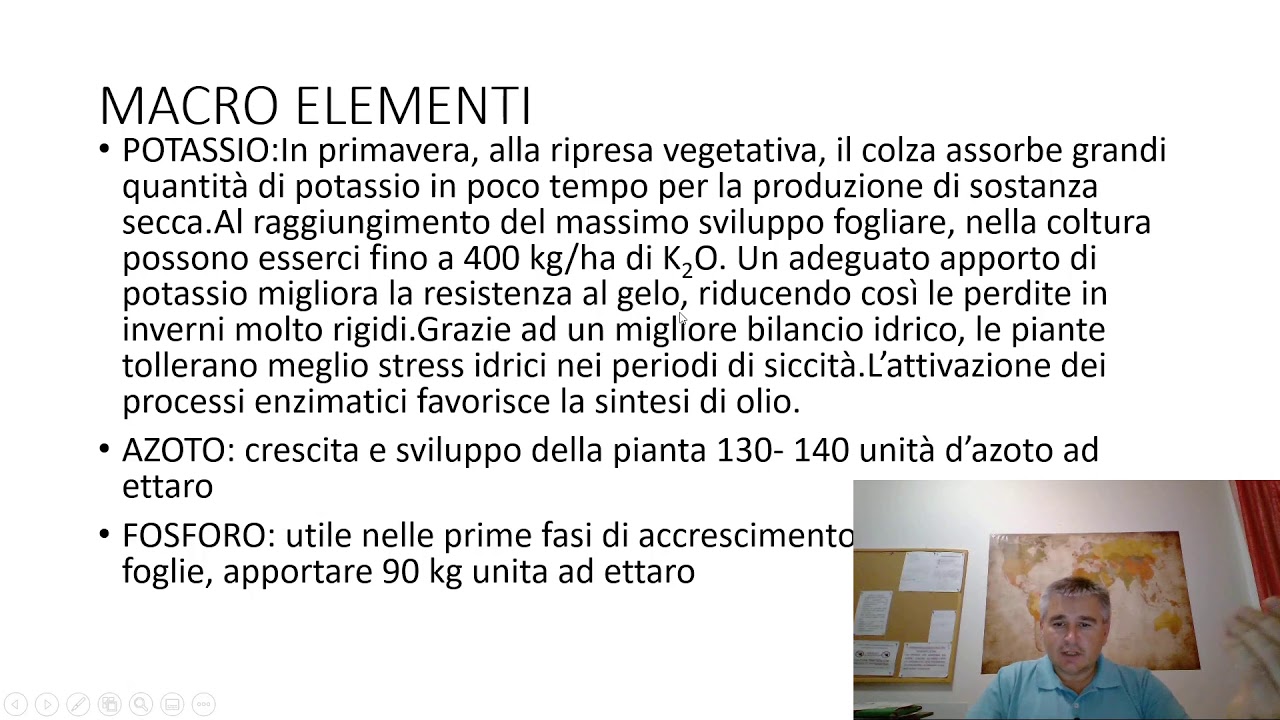 COLZA: principi di tecnica colturale