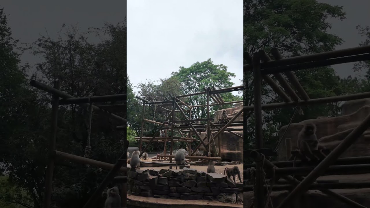 Kölner ZOO  