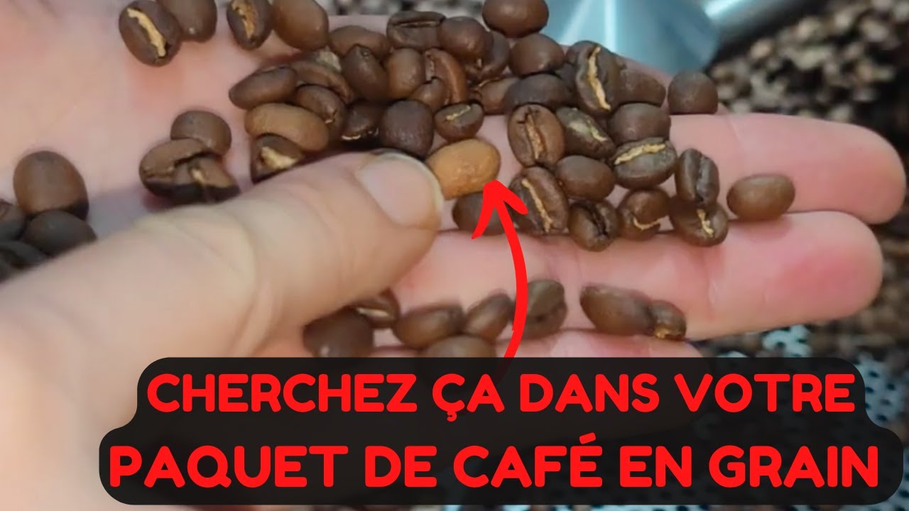 5 Clés pour vérifier que vous avez choisi du bon café en grain pour votre machine