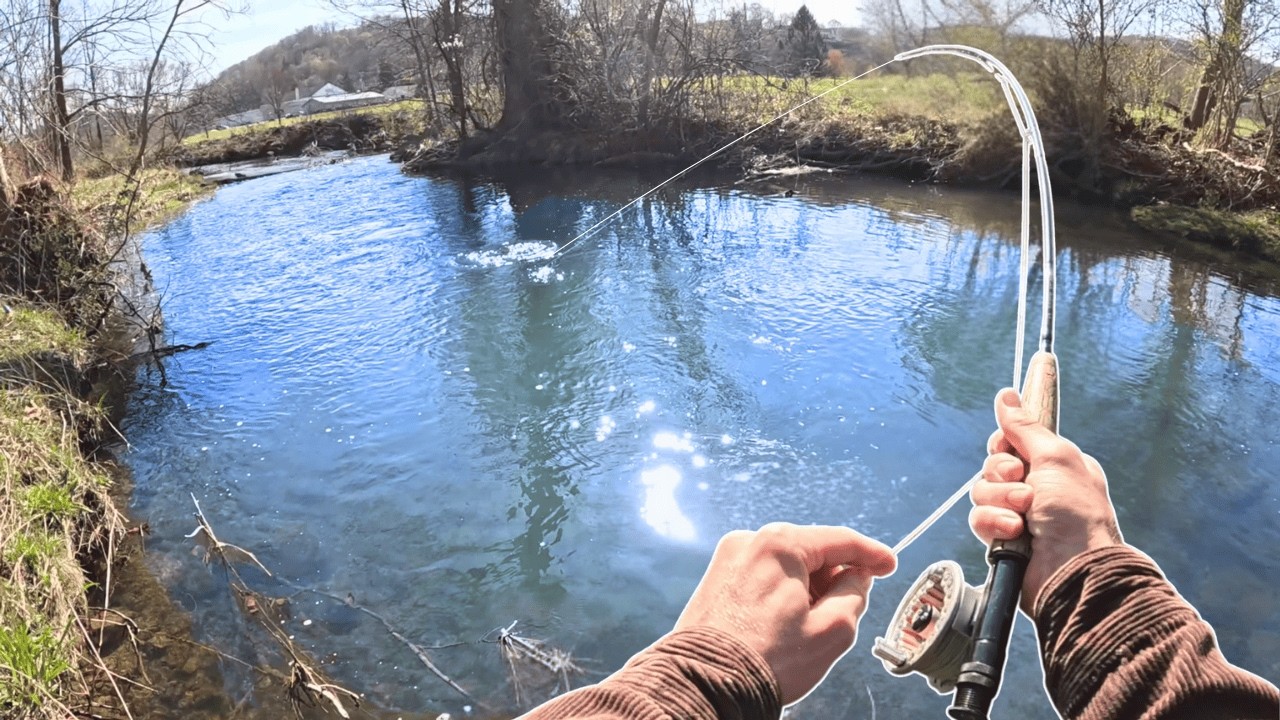 This Small Creek was Loaded with Fish!!!
