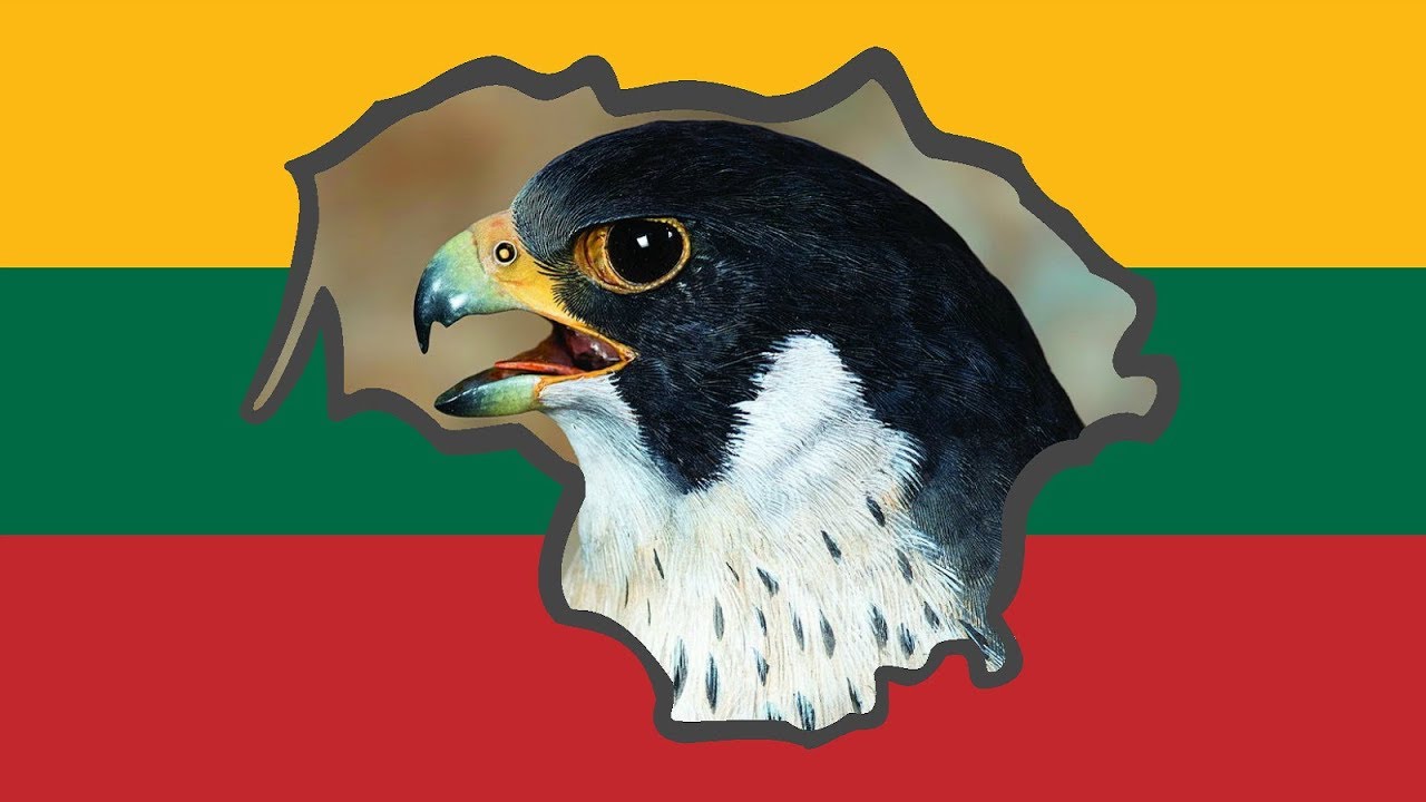 Lietuvos pauk&scaron;čiai: sakalai 🦅🎵