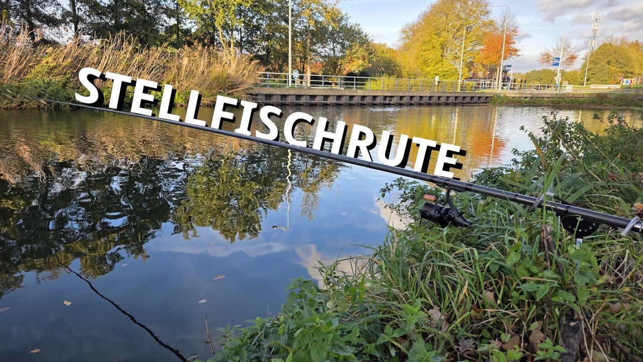 Mit Stellfischruten und Köderfisch am Kanal auf Raubfisch