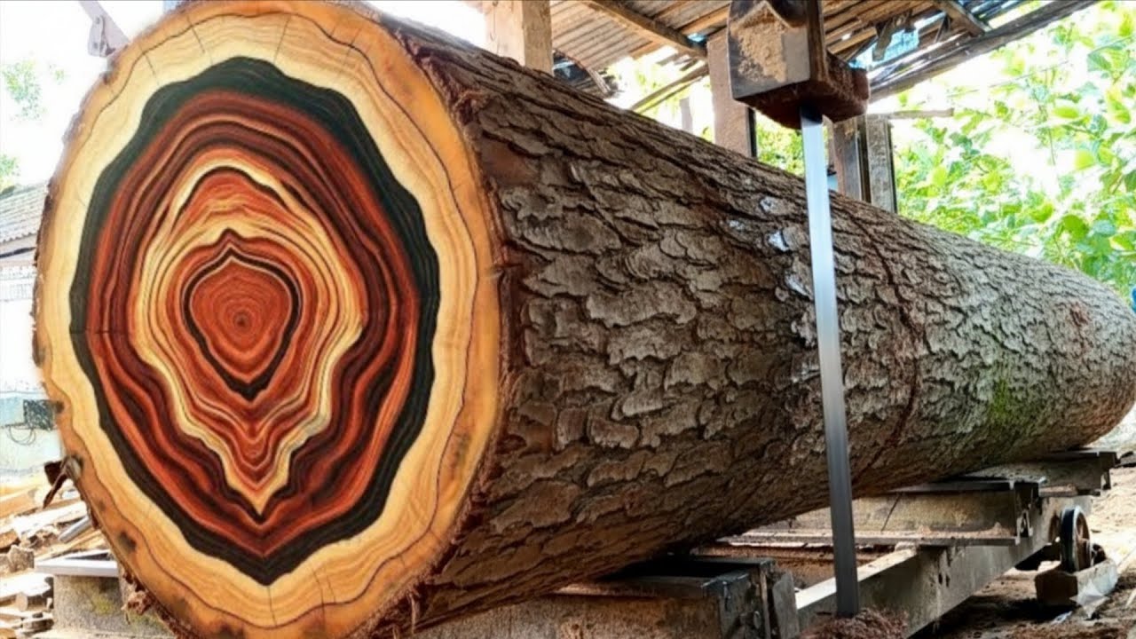 Scary yet beautiful monster tree in the Sawmill factory