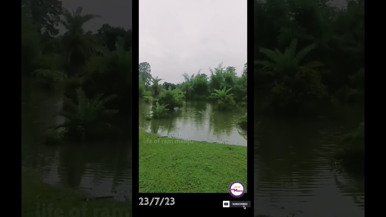 heavy rain effect 😔#harangi #coorg #riverside #flood #kodagu #rain #heavyrain #shorts #youtube #sad