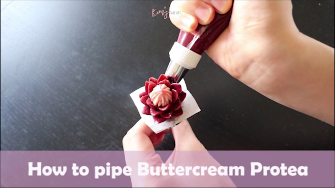 How to pipe Buttercream Protea │ Korean Buttercream Flower