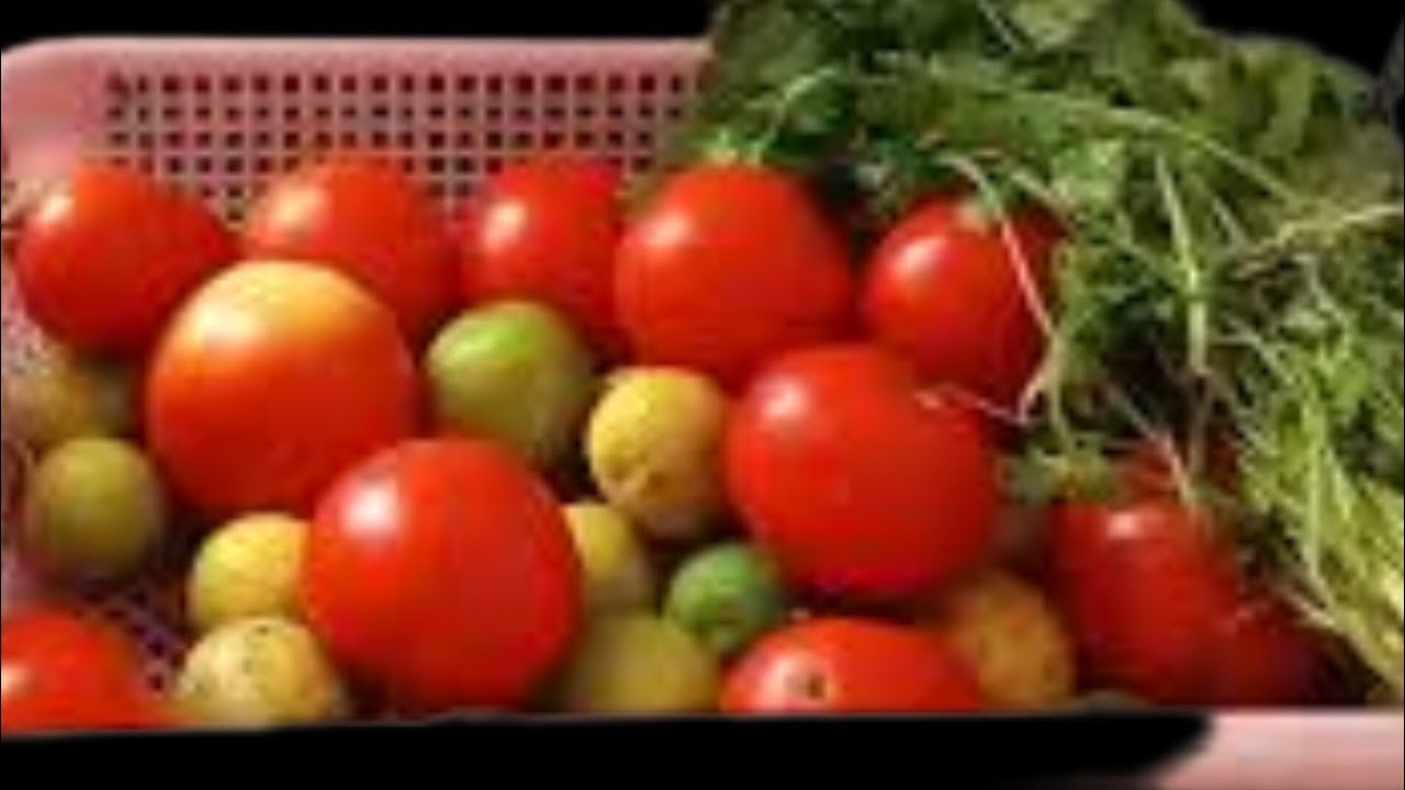 बिना फ्रिज के हरी सब्जियों को ताजा कैसे रखें|how to fresh vegetable-without refrigerator-