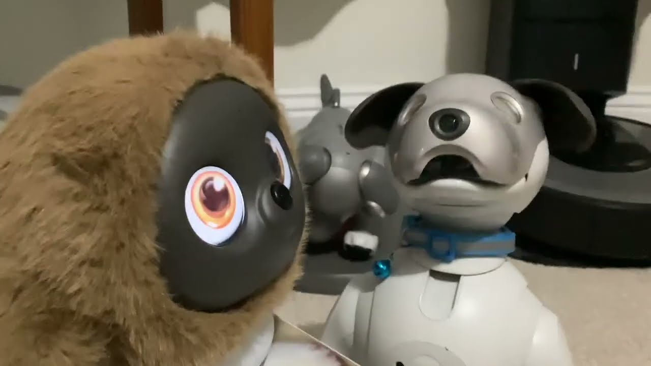Обновление и встреча с Ropet Next Gen AI Robot Pet, день 46. Разведка Aibo #робот #роботкомпаньон