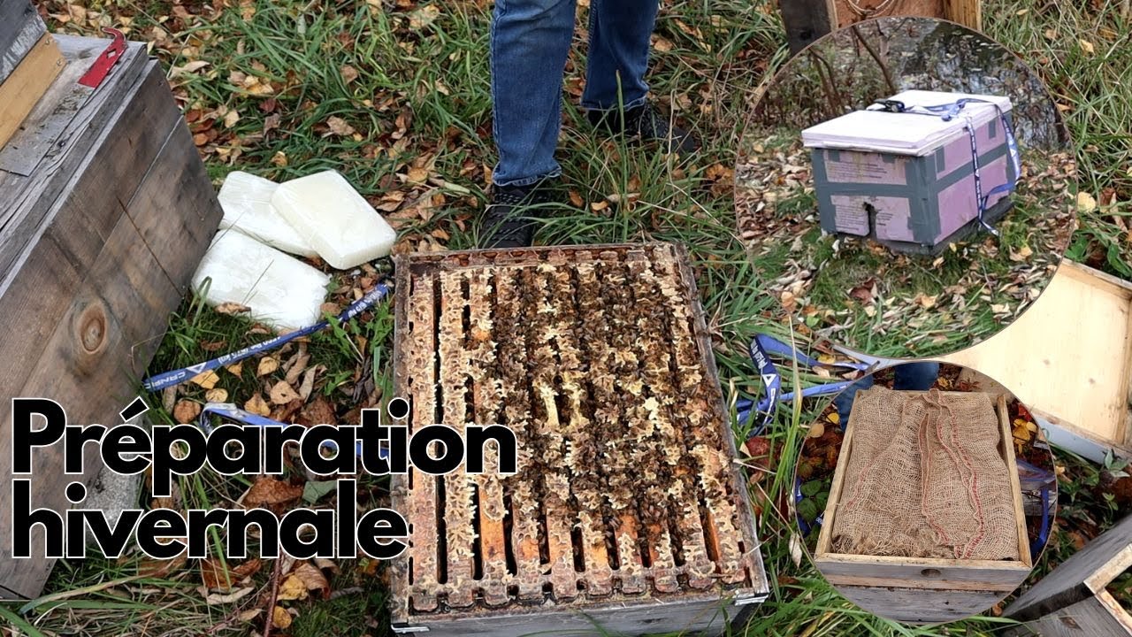 S2025.E14 - Préparation hivernale: Sucre & Isolation