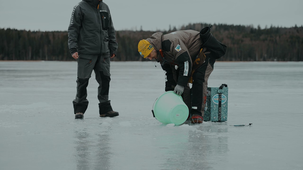 Mormyskafiske i Dalarna