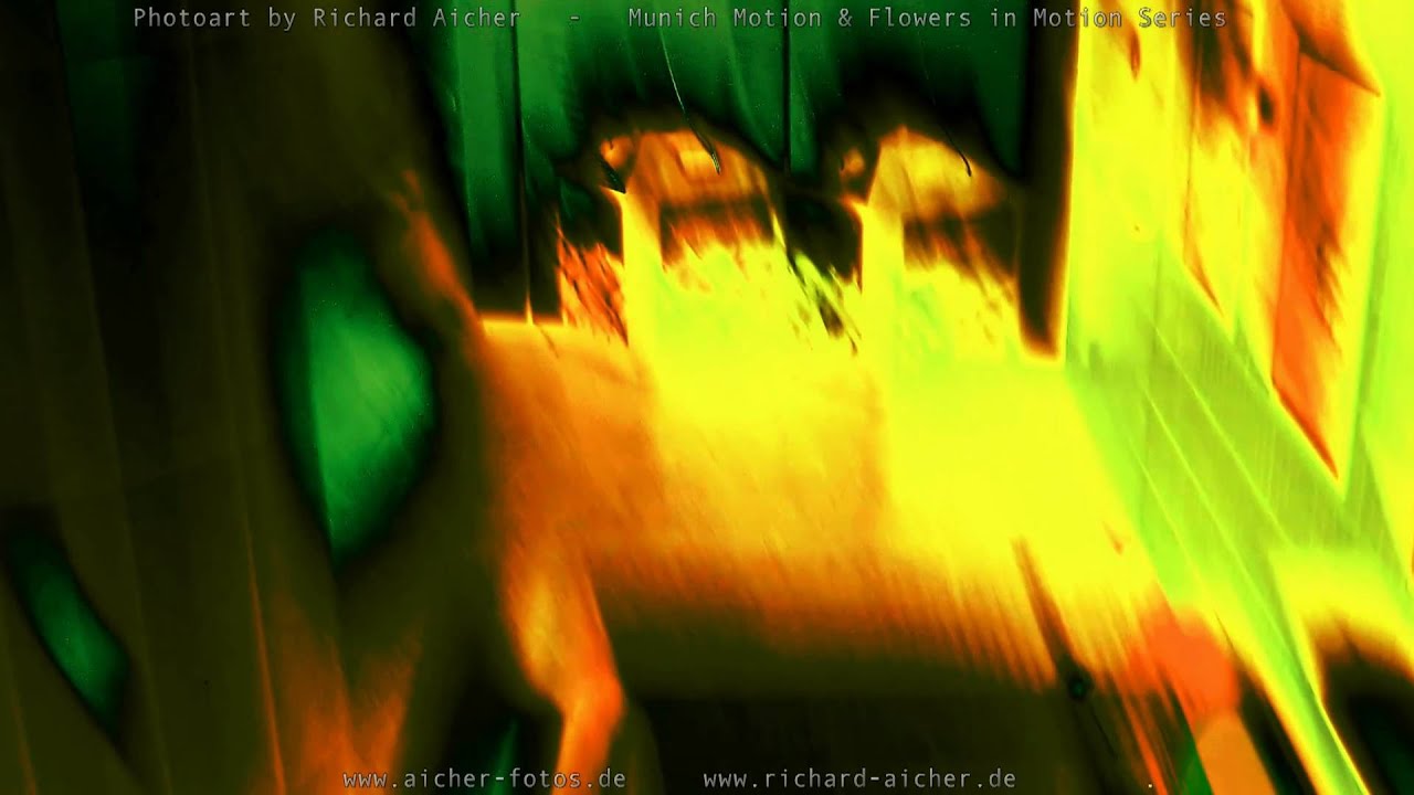Photoart by Richard Aicher - Flowers and Munich in Motion Series