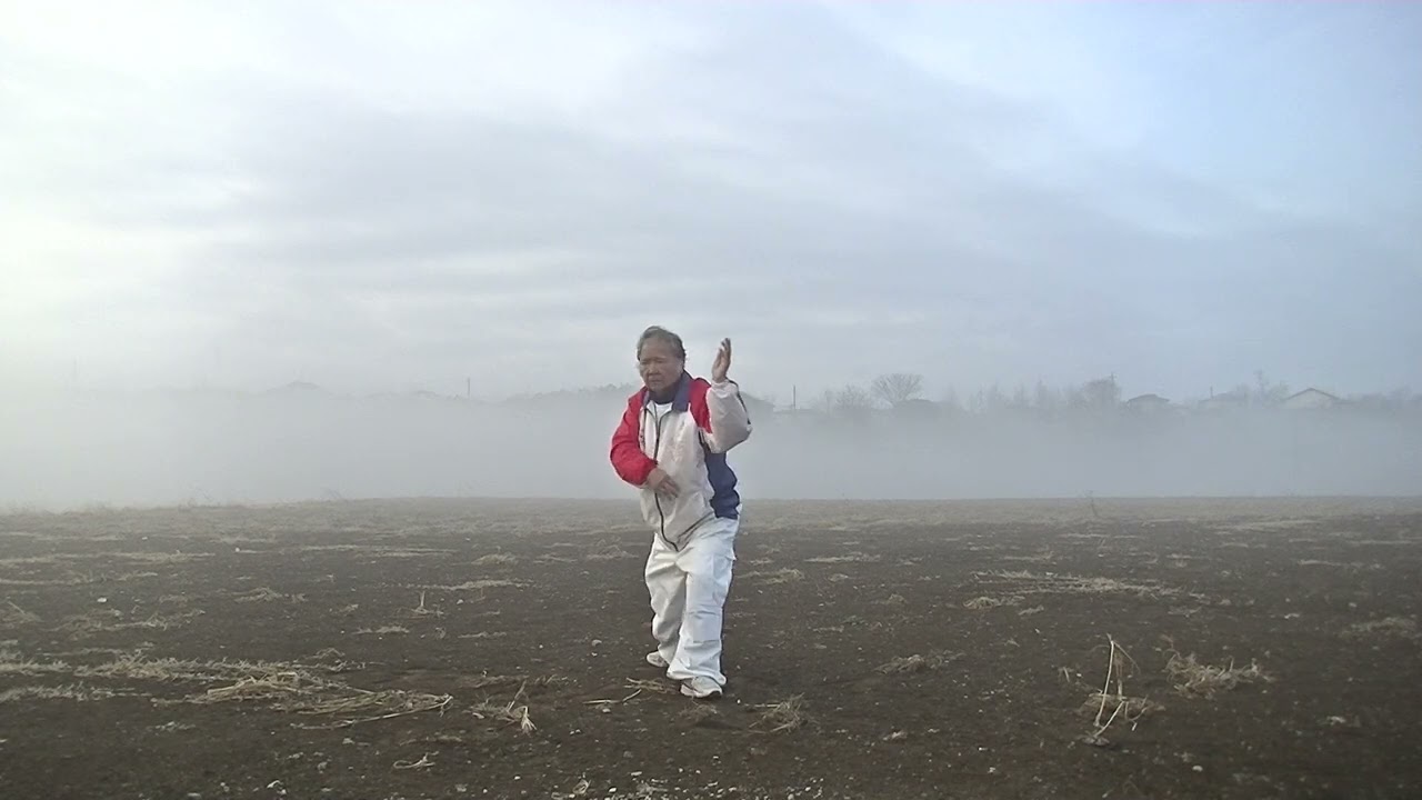 霧の中の常式太極拳43式(方架) (2.20)　2026東瀛太極拳社