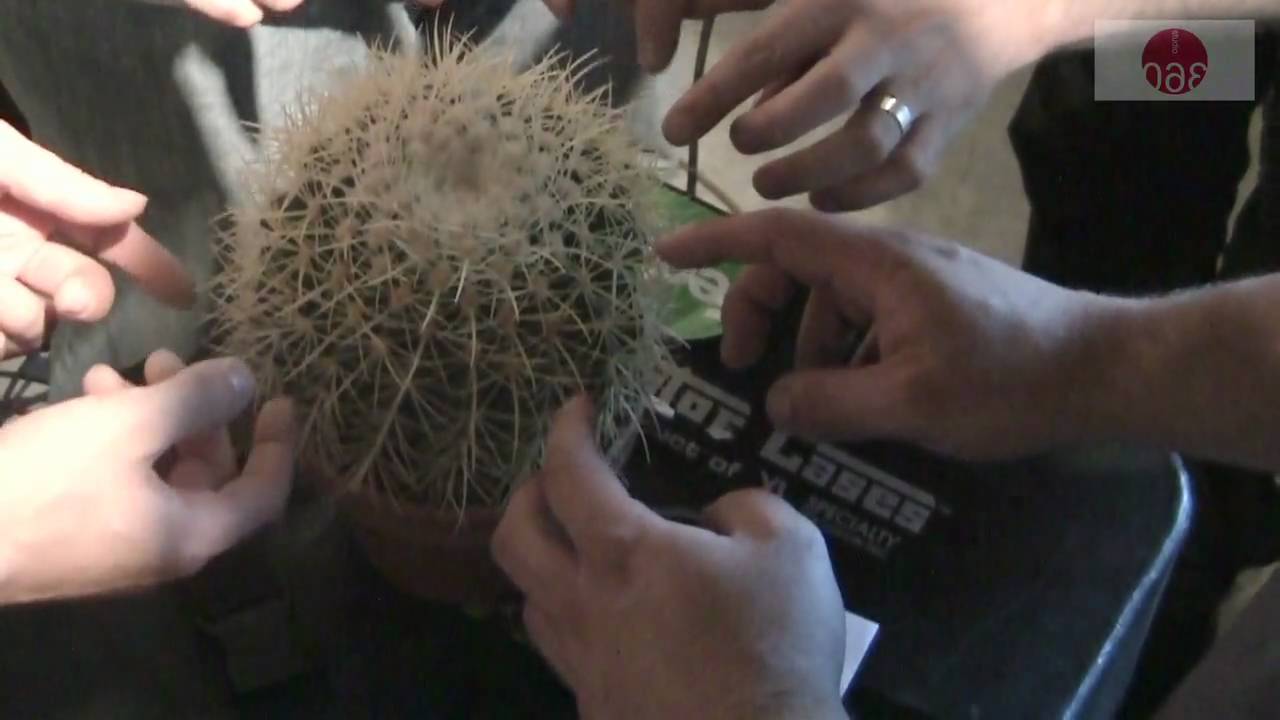 Studio 360: Matmos and So Percussion perform 
