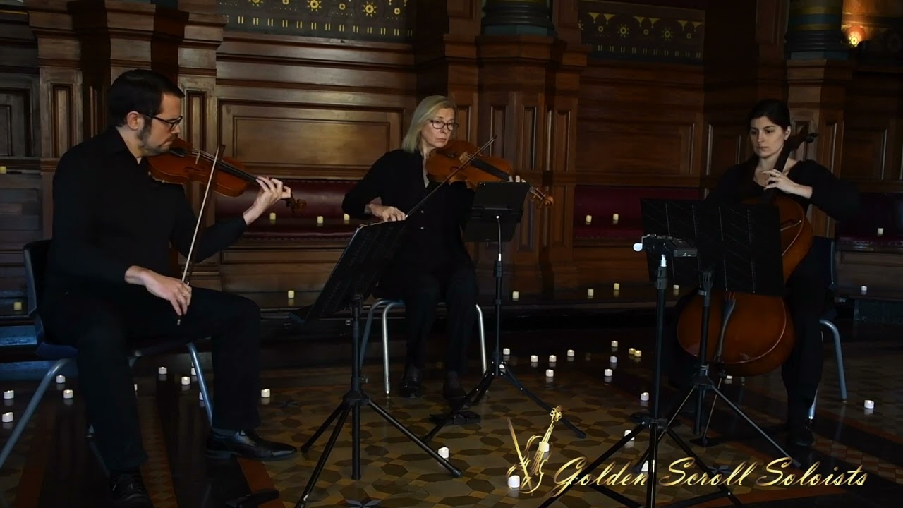 Video Games (Lana Del Rey) - strings cover