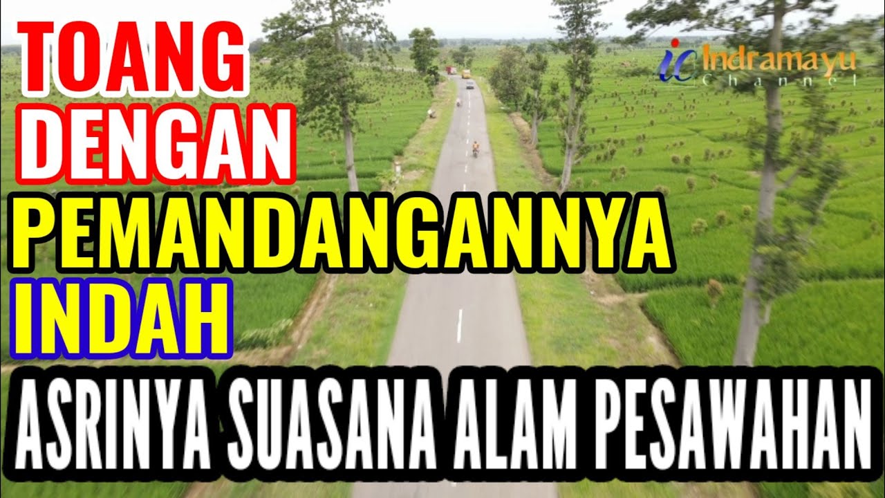 JELAJAH UDARA TOANG TERPANJANG DI INDRAMAYU