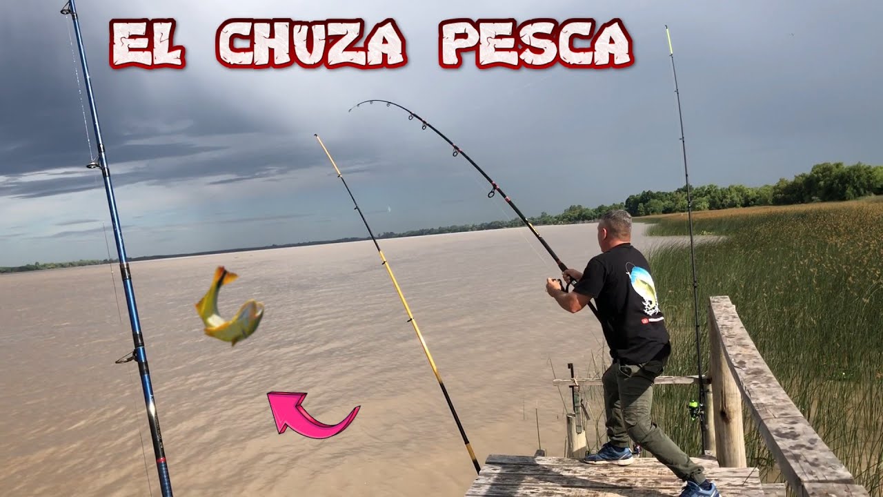 TERRIBLE PESCA BAJO LA LLUVIA / PESCA EN ZARATE / PESCA Y COCINA...