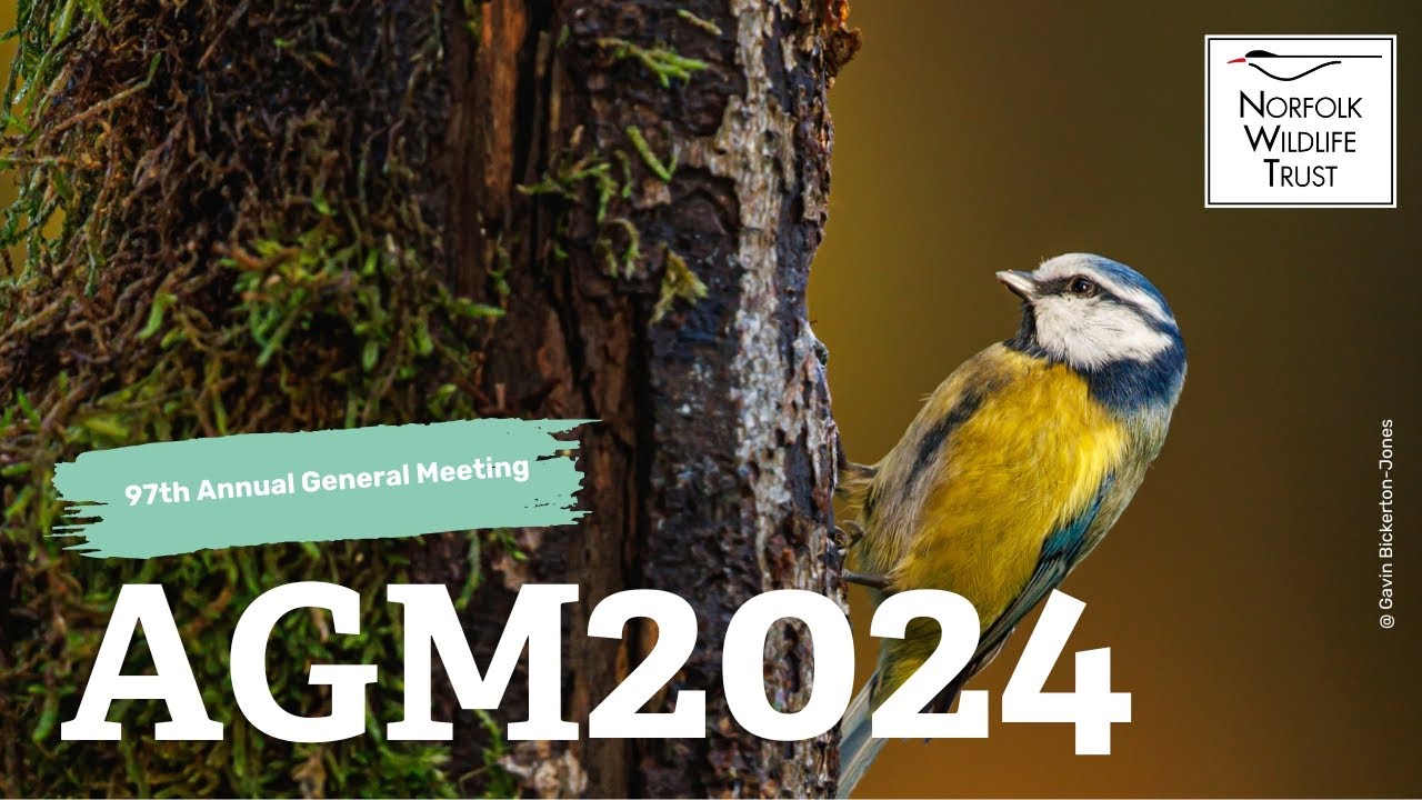NWT Annual General Meeting 2024