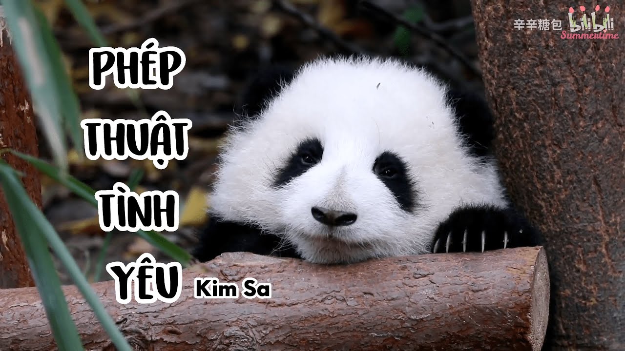 [Vietsub | Bá vương Hoa BGM ] Phép thuật tình yêu - Kim Sa | 爱的魔法 - 金莎