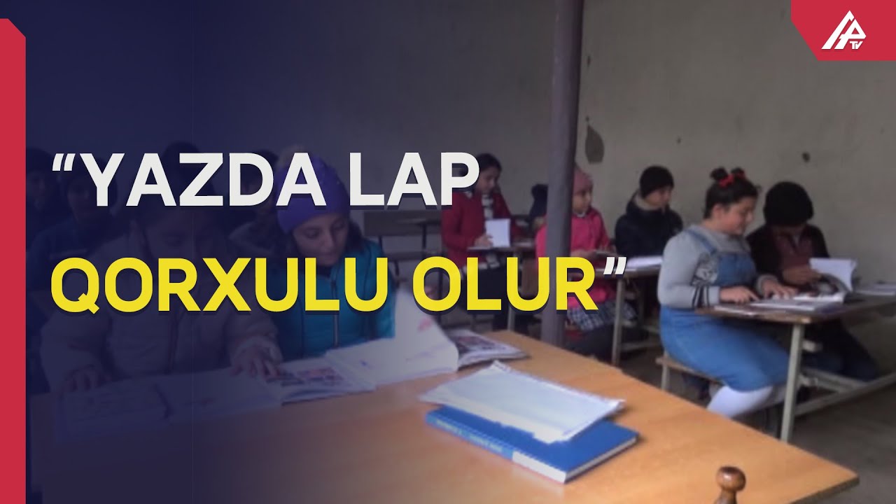 Şəkidəki məktəbdə şagirdlərə ilanlarla birlikdə dərs keçilir - APA TV