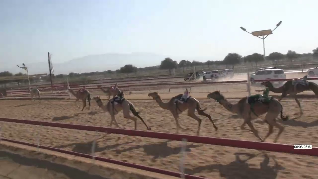 R16 15 2 2026E الشوط (16) شفا للسيد/ محمد خلفان غليطه الغفلي