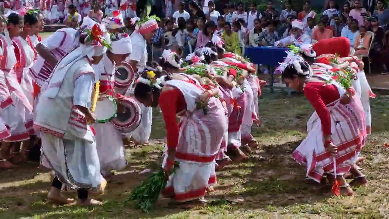 V6 KARAM DANCE BY HOLY CROSS COLLEGE OF NURSING STUDENTS| आदिवासी सांस्कृतिक महोत्सव 2025।St. Xavier