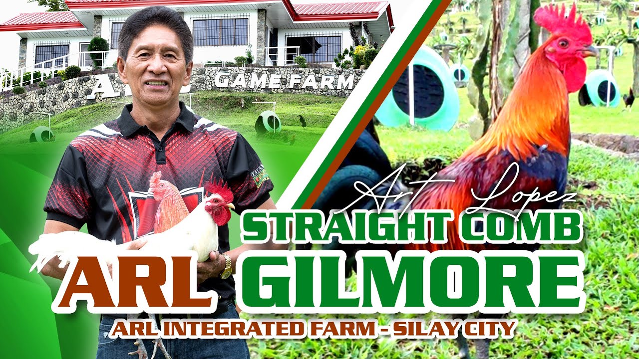 ART LOPEZ - GILMORE HATCH