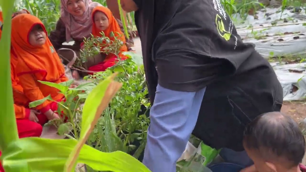 Puncak pembelajaran tema hewan dan tumbuhan